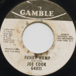 Joe Cook - Funky Hump/America Don't Turn Your Back