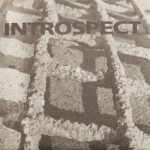 Introspect - Stationary Trust/Her Monument