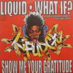L-Fudge - Liquid/What If?/Show Me Your Gratitude