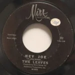 Leaves - Hey Joe/Funny Little World