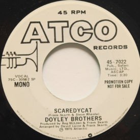 Doyley Brothers - Scaredycat