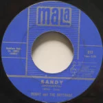 Ronny And The Daytonas - Sandy