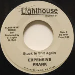 Expensive Prank - Stuck In Shit Again