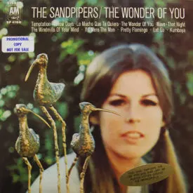 Sandpipers - The Wonder Of You