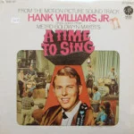 Hank Williams Jr. - A Time To Sing