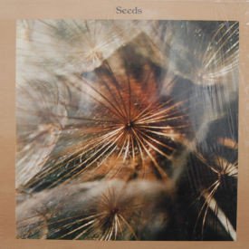 Marcus Allen - Seeds – Hymns For A New Age