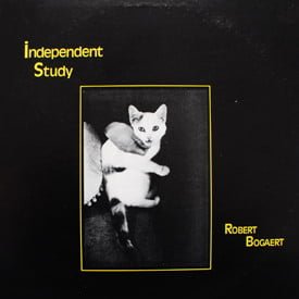 Robert Bogaert - Independent Study