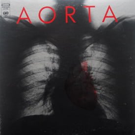 Aorta - Aorta