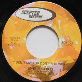 Beverly Bremers - Don’t Say You Don’t Remember