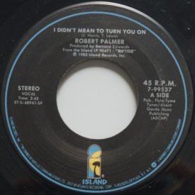 Robert Palmer - I Didn’t Mean To Turn You On