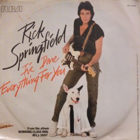 Rick Springfield - I’ve Done Everything For You