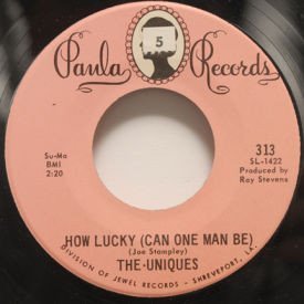 Uniques - You Don’t Miss Your Water/How Lucky